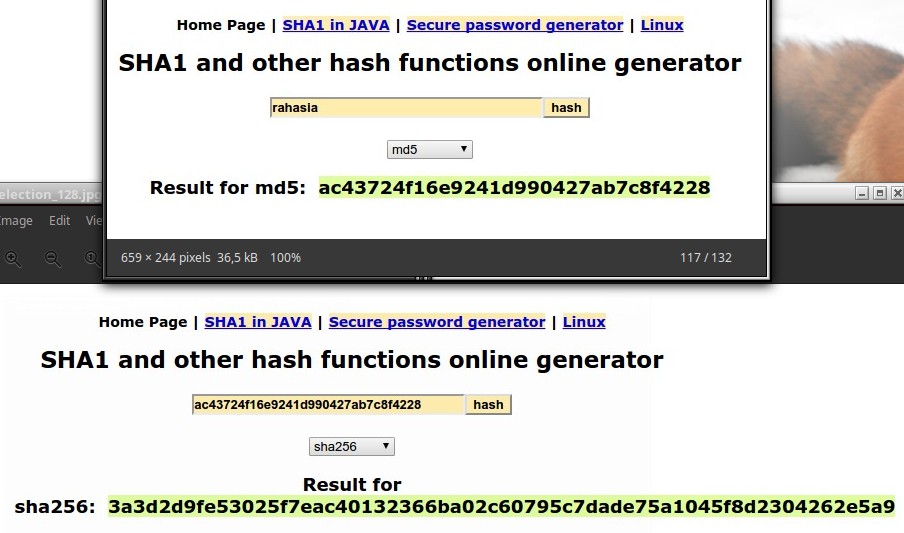 Hash md5 sha256