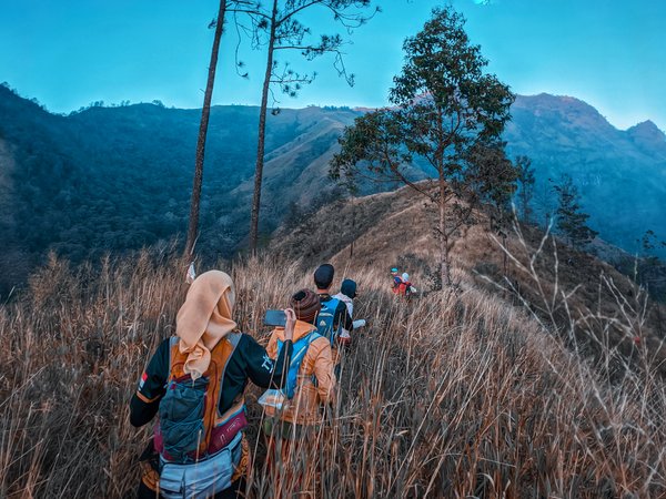 Step Langkah demi Langkah