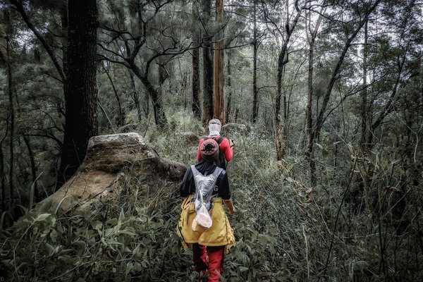 Step Langkah demi Langkah